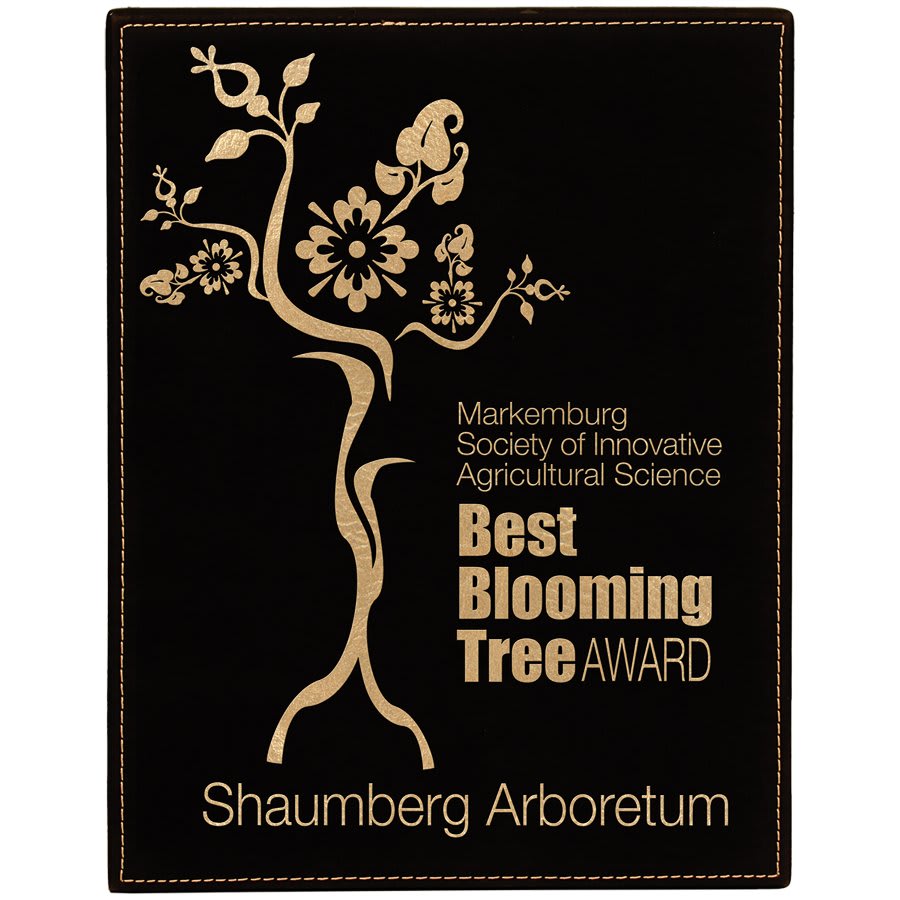 Engraved Leatherette Plaque in 7" x 9" / Black/Gold