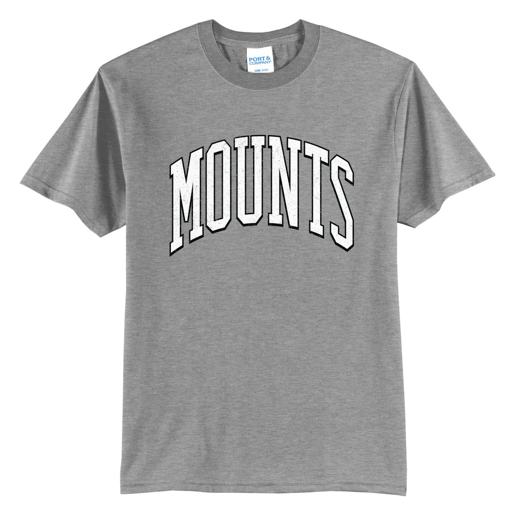 Antietam Mountaineers Varsity Arch t-shirt in Athletic Heather: arched, distressed varsity MOUNTS lettering