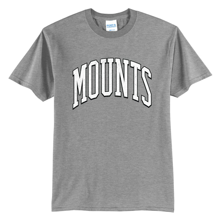 Antietam Mountaineers Varsity Arch t-shirt in Athletic Heather: arched, distressed varsity MOUNTS lettering