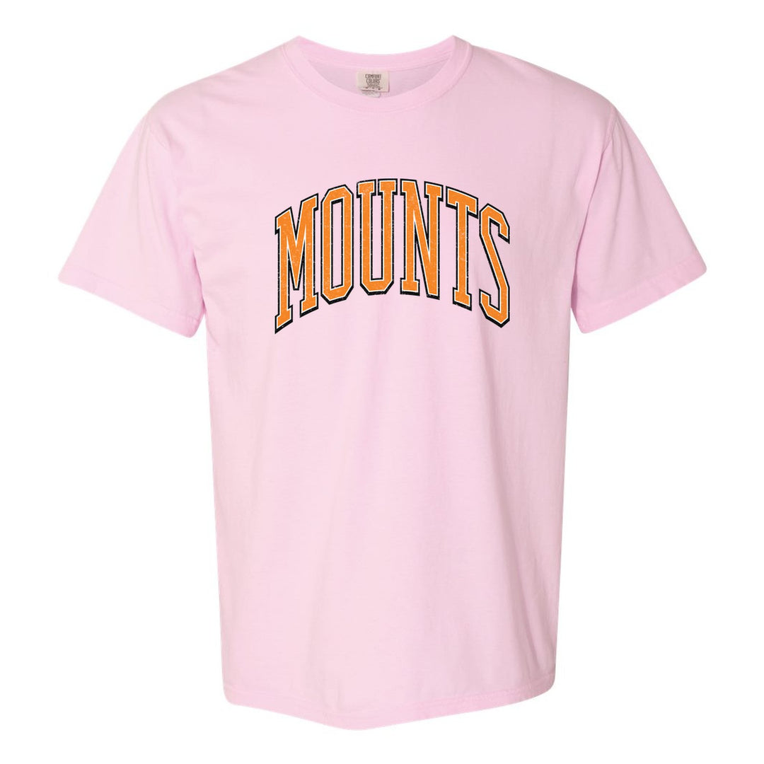 Antietam Mountaineers Varsity Arch comfort colors t-shirt in Blossom: arched, distressed varsity MOUNTS lettering