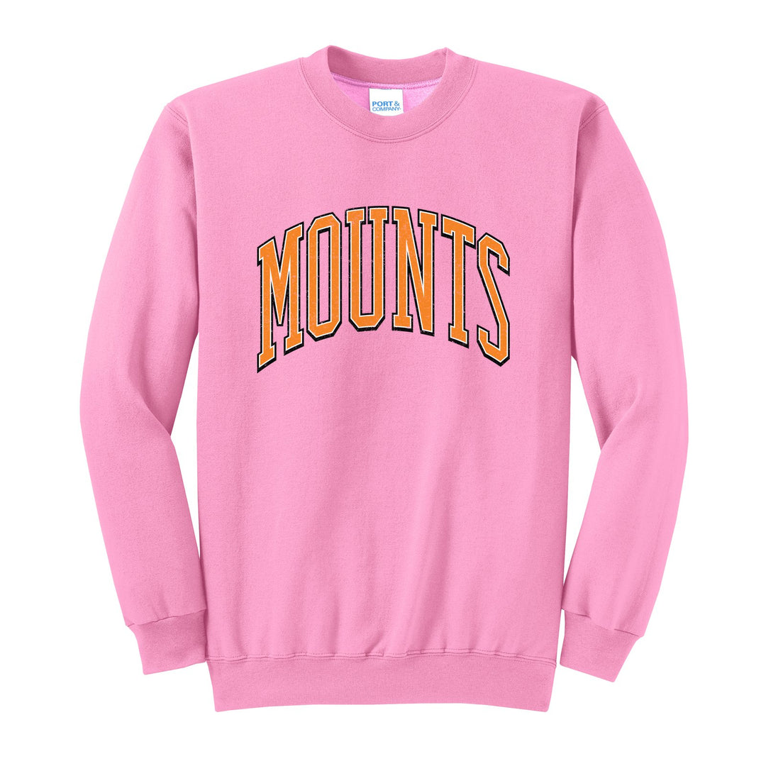 Antietam Mountaineers Varsity Arch crewneck sweatshirt in Candy Pink: arched, distressed varsity MOUNTS lettering