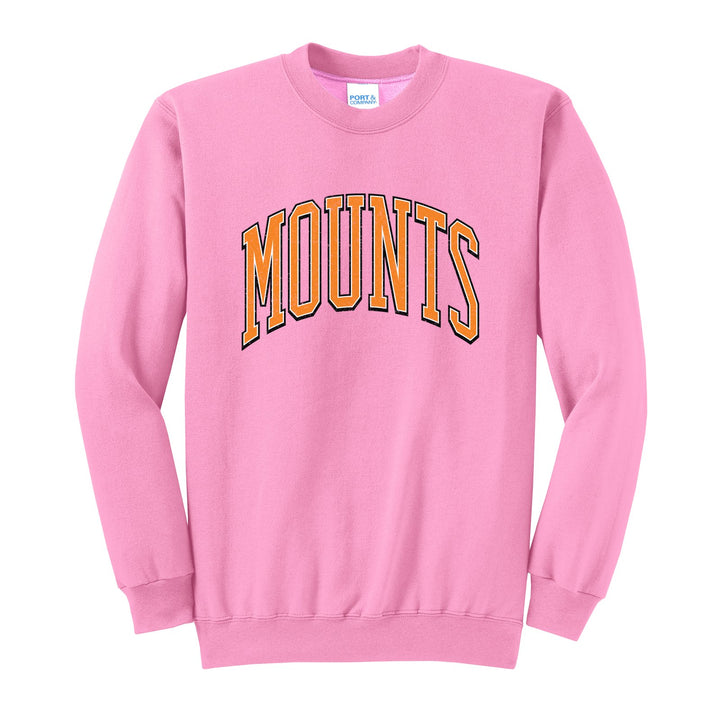 Antietam Mountaineers Varsity Arch crewneck sweatshirt in Candy Pink: arched, distressed varsity MOUNTS lettering