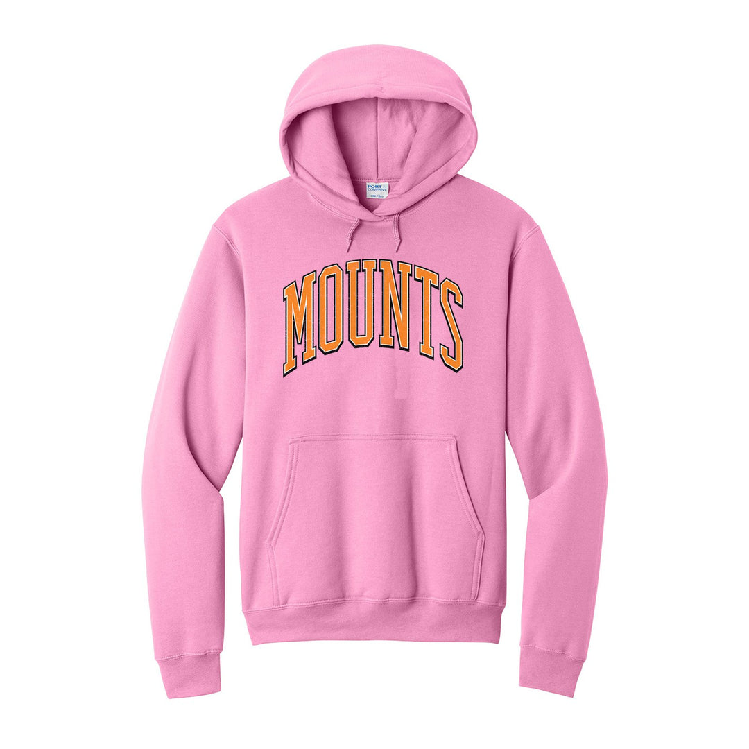 Antietam Mountaineers Varsity Arch hoodie in Candy Pink: arched, distressed varsity MOUNTS lettering