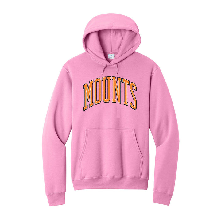 Antietam Mountaineers Varsity Arch hoodie in Candy Pink: arched, distressed varsity MOUNTS lettering