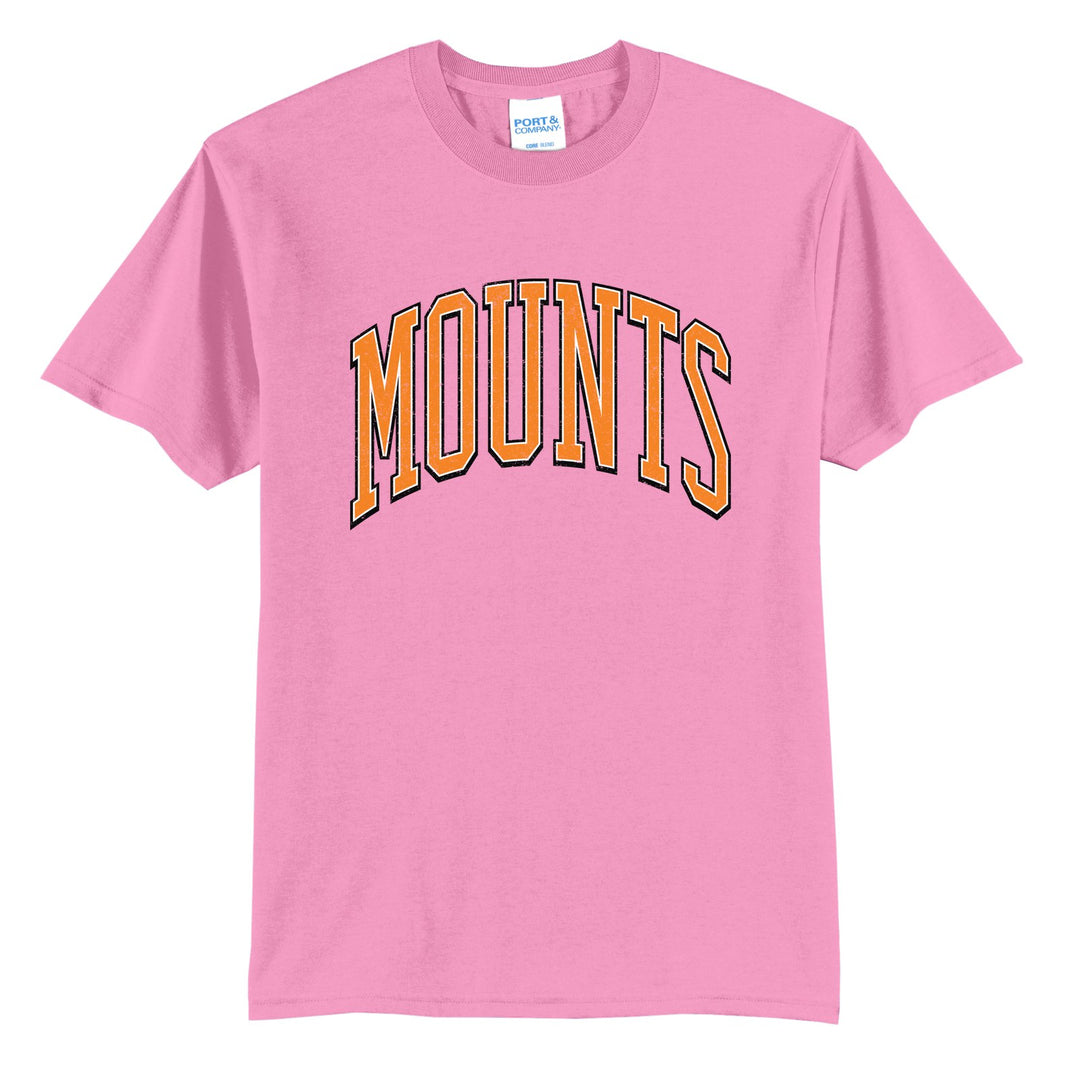 Antietam Mountaineers Varsity Arch t-shirt in Candy Pink: arched, distressed varsity MOUNTS lettering
