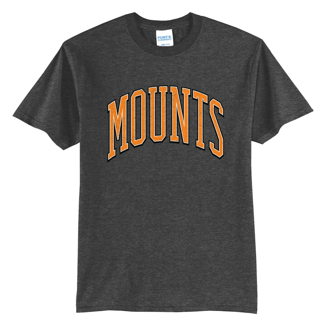 Antietam Mountaineers Varsity Arch t-shirt in Dark Heather Grey: arched, distressed varsity MOUNTS lettering
