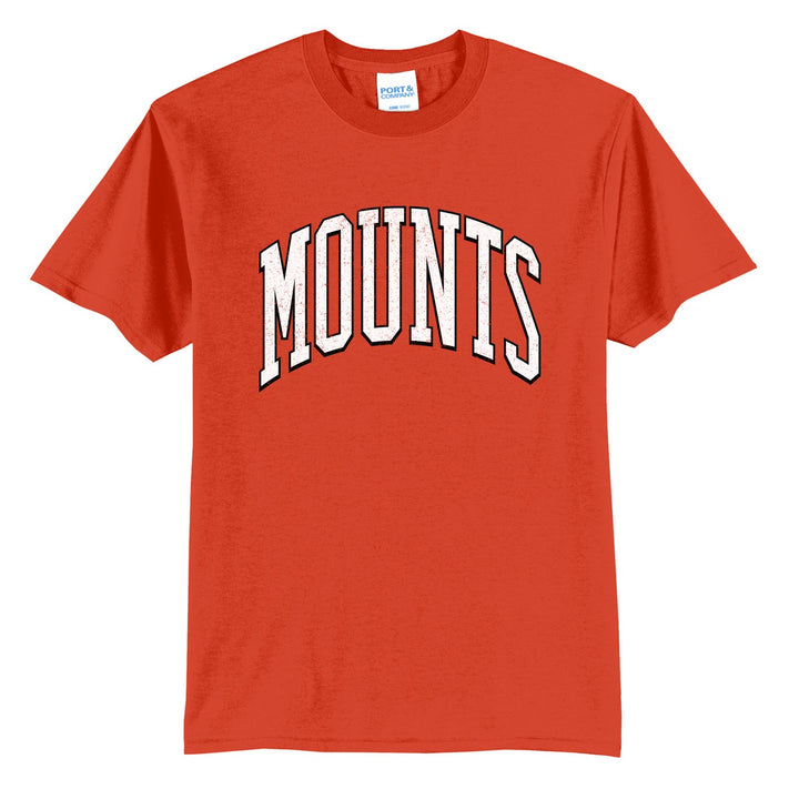 Antietam Mountaineers Varsity Arch t-shirt in Orange: arched, distressed varsity MOUNTS lettering