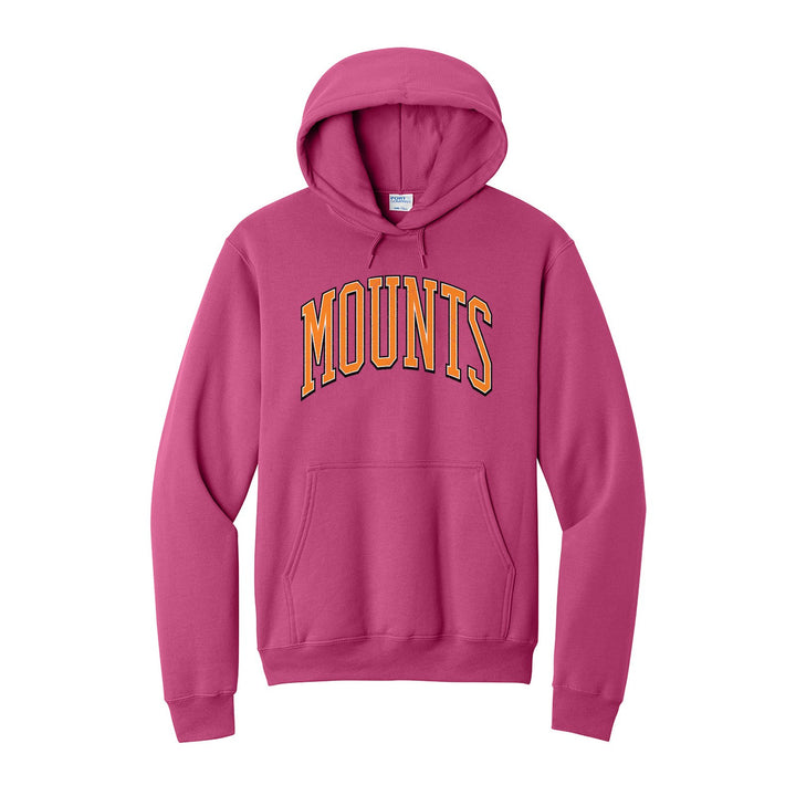 Antietam Mountaineers Varsity Arch hoodie in Sangria: arched, distressed varsity MOUNTS lettering