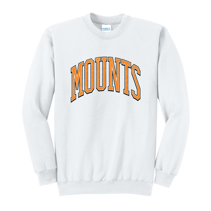Antietam Mountaineers Varsity Arch crewneck sweatshirt in White: arched, distressed varsity MOUNTS lettering