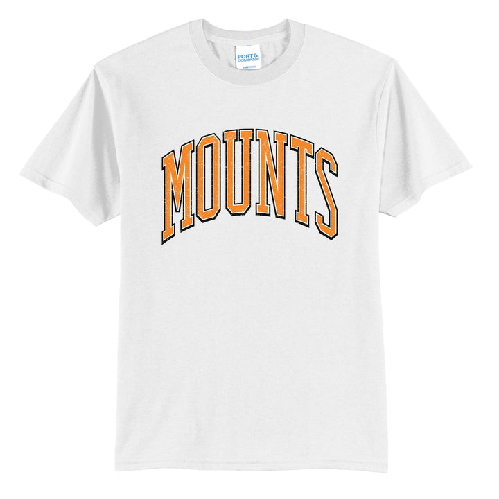 Antietam Mountaineers Varsity Arch t-shirt in White: arched, distressed varsity MOUNTS lettering