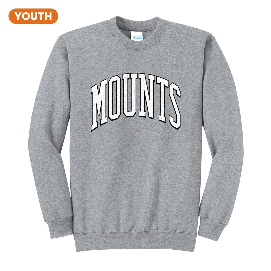 Antietam Mountaineers Varsity Arch youth crewneck sweatshirt in Athletic Heather: arched, distressed varsity MOUNTS lettering
