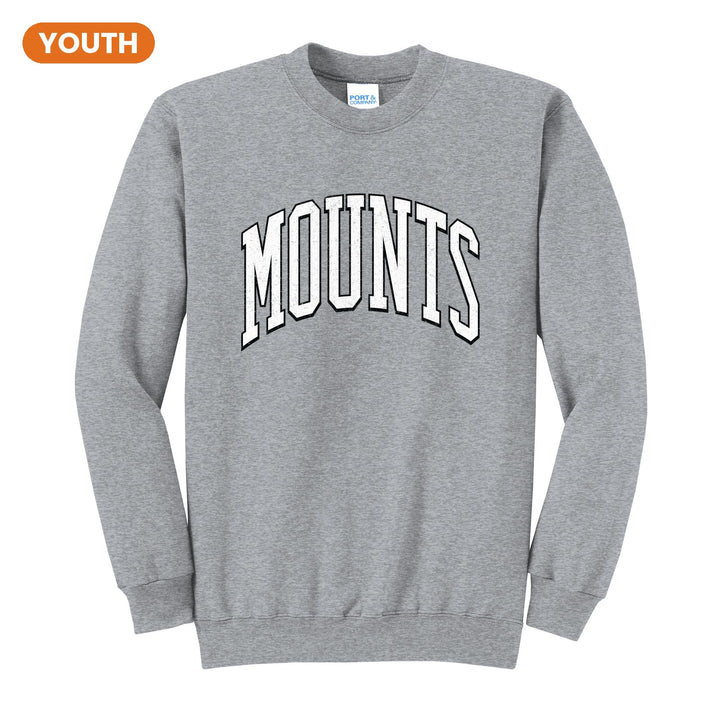 Antietam Mountaineers Varsity Arch youth crewneck sweatshirt in Athletic Heather: arched, distressed varsity MOUNTS lettering