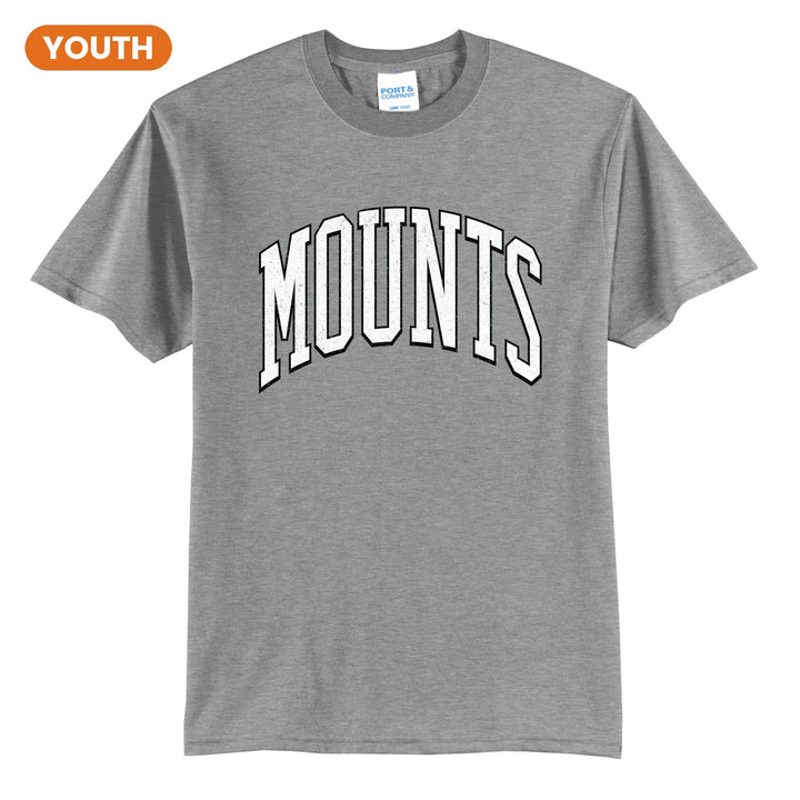 Antietam Mountaineers Varsity Arch youth t-shirt in Athletic Heather: arched, distressed varsity MOUNTS lettering
