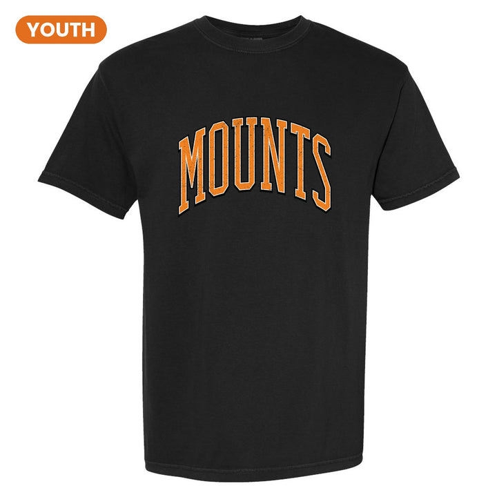 Antietam Mountaineers Varsity Arch youth comfort colors t-shirt in Black: arched, distressed varsity MOUNTS lettering