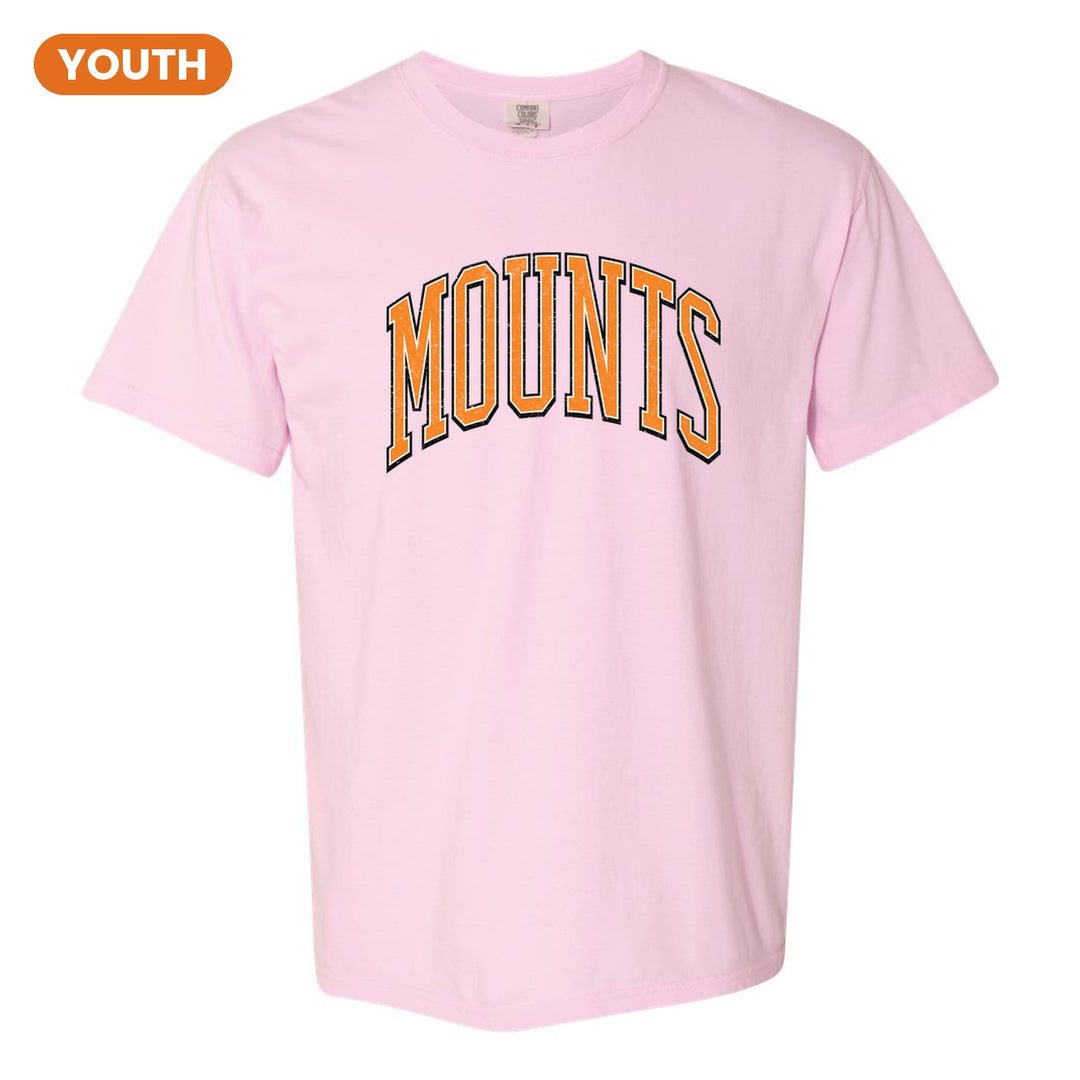 Antietam Mountaineers Varsity Arch youth comfort colors t-shirt in Blossom: arched, distressed varsity MOUNTS lettering
