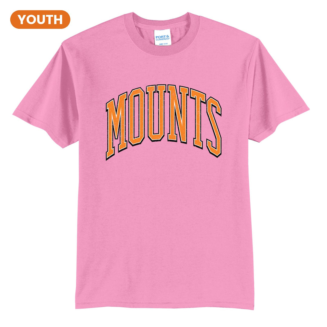 Antietam Mountaineers Varsity Arch youth t-shirt in Candy Pink: arched, distressed varsity MOUNTS lettering