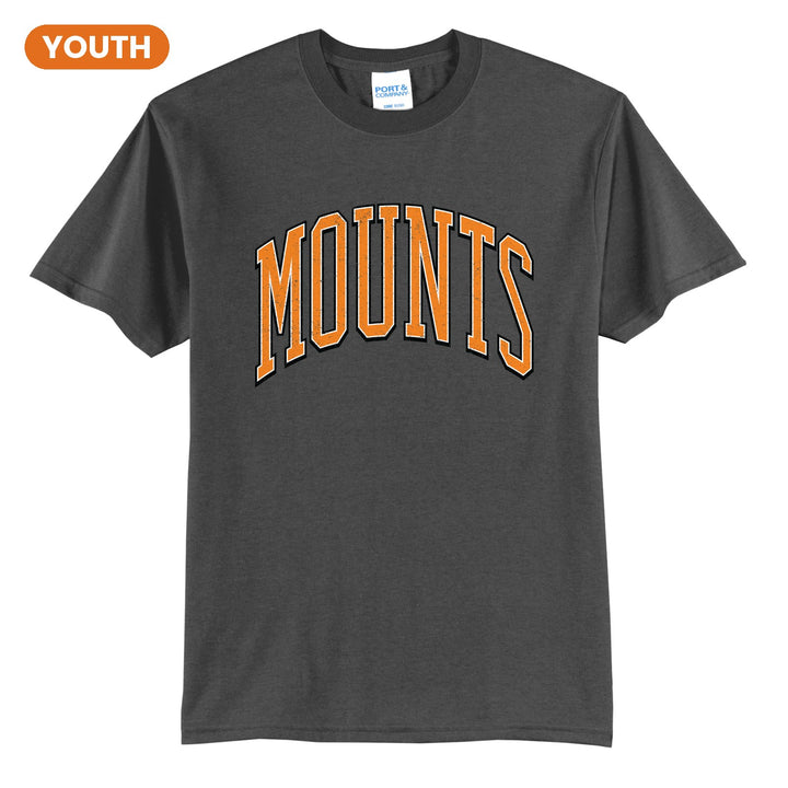 Antietam Mountaineers Varsity Arch youth t-shirt in Charcoal: arched, distressed varsity MOUNTS lettering