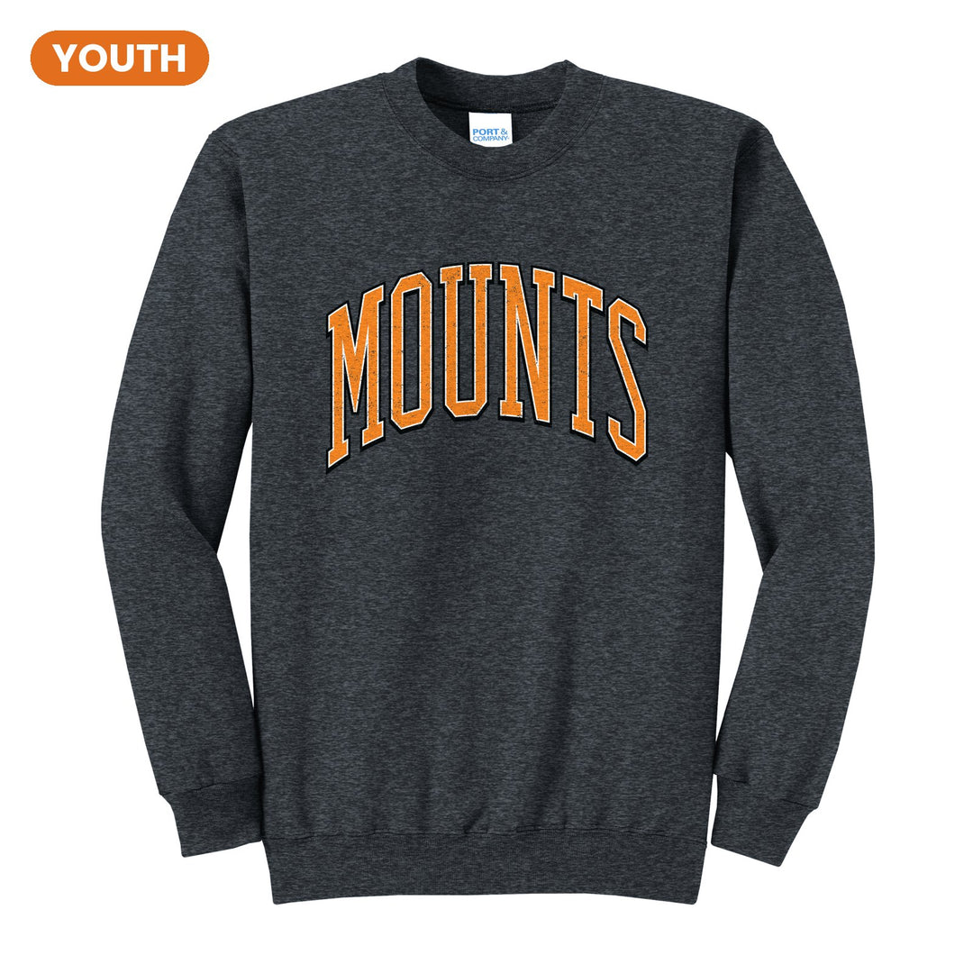 Antietam Mountaineers Varsity Arch youth crewneck sweatshirt in Dark Heather Grey: arched, distressed varsity MOUNTS lettering