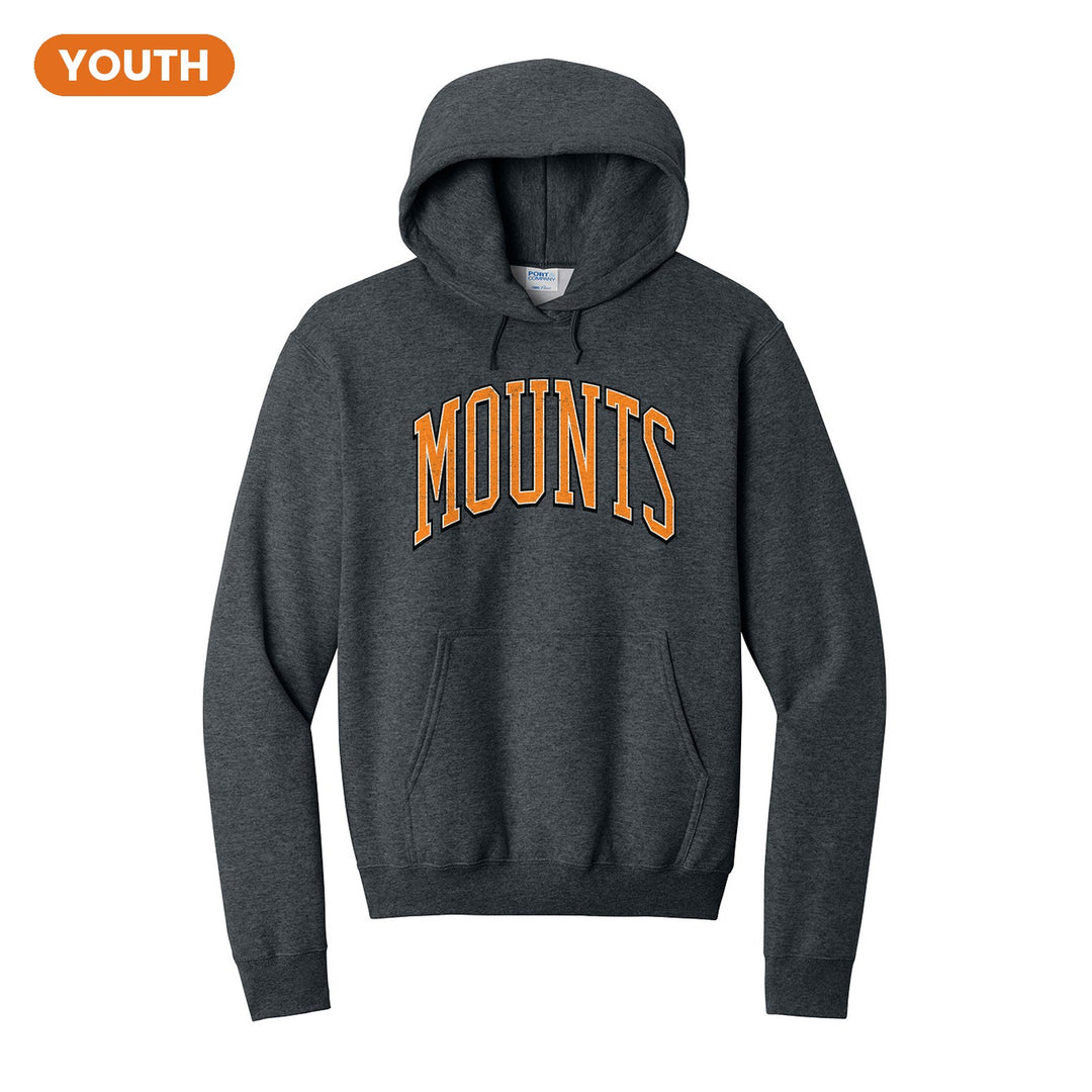 Antietam Mountaineers Varsity Arch youth hoodie in Dark Heather Grey: arched, distressed varsity MOUNTS lettering