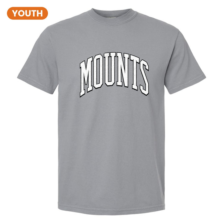 Antietam Mountaineers Varsity Arch youth comfort colors t-shirt in Granite: arched, distressed varsity MOUNTS lettering