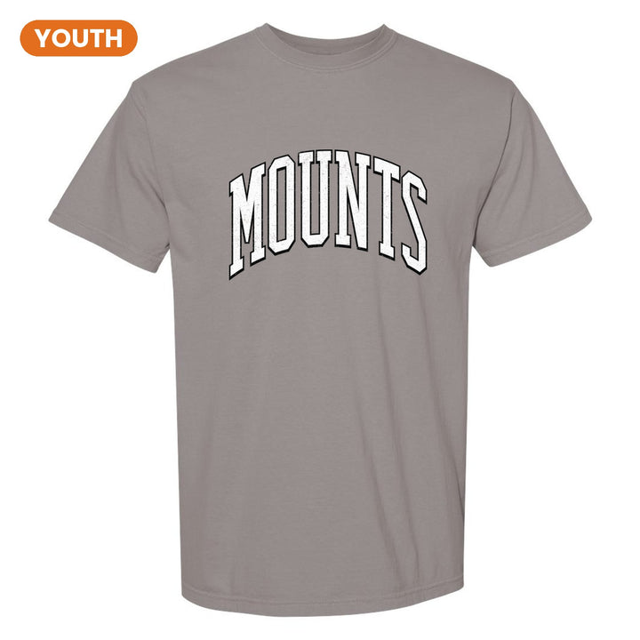 Antietam Mountaineers Varsity Arch youth comfort colors t-shirt in Grey: arched, distressed varsity MOUNTS lettering