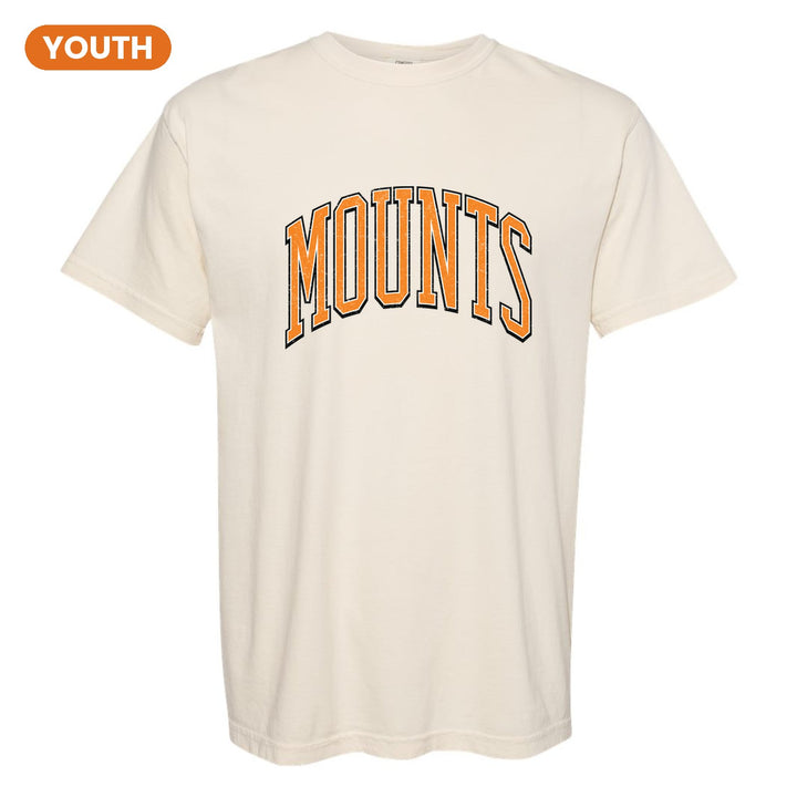 Antietam Mountaineers Varsity Arch youth comfort colors t-shirt in Ivory: arched, distressed varsity MOUNTS lettering