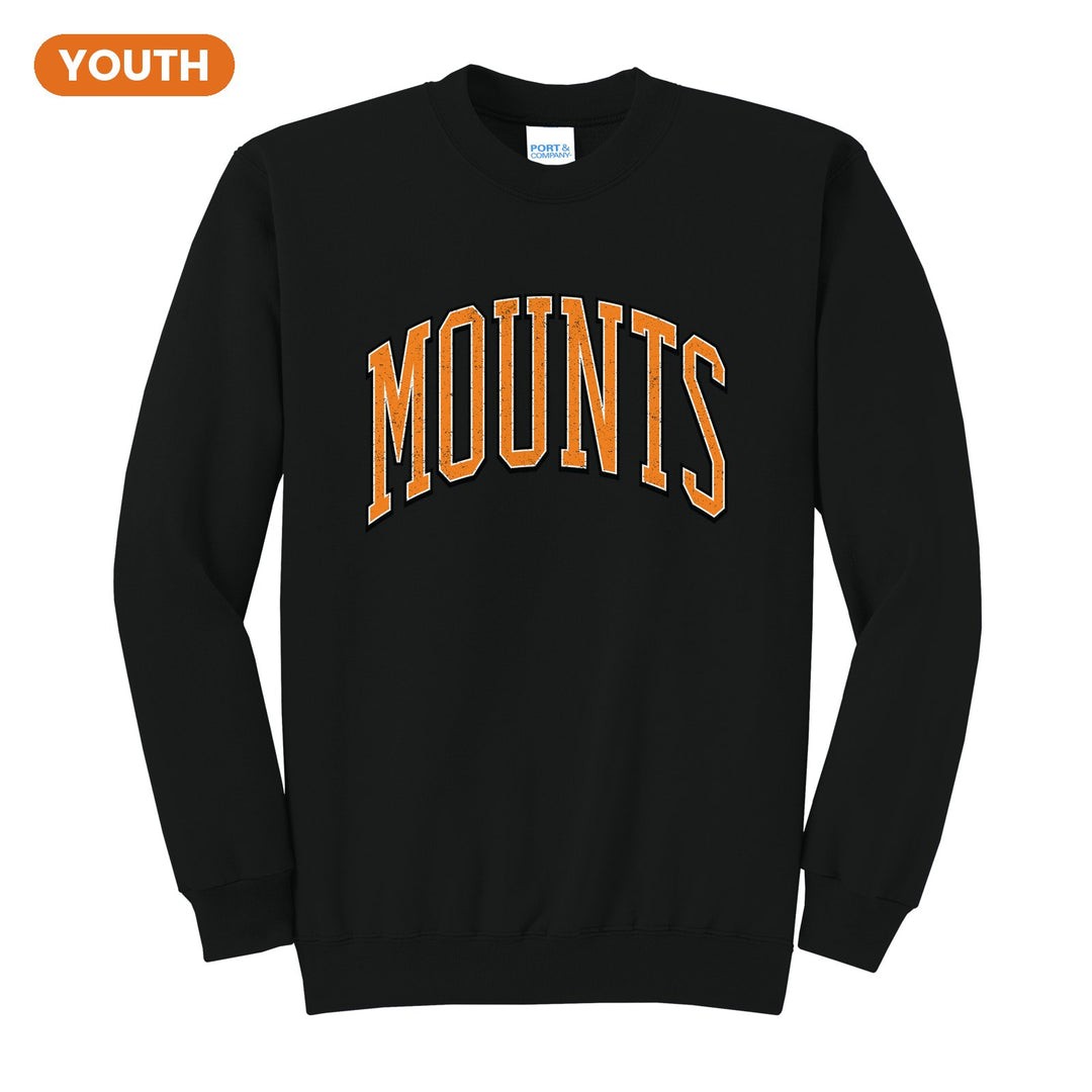 Antietam Mountaineers Varsity Arch youth crewneck sweatshirt in Jet Black: arched, distressed varsity MOUNTS lettering