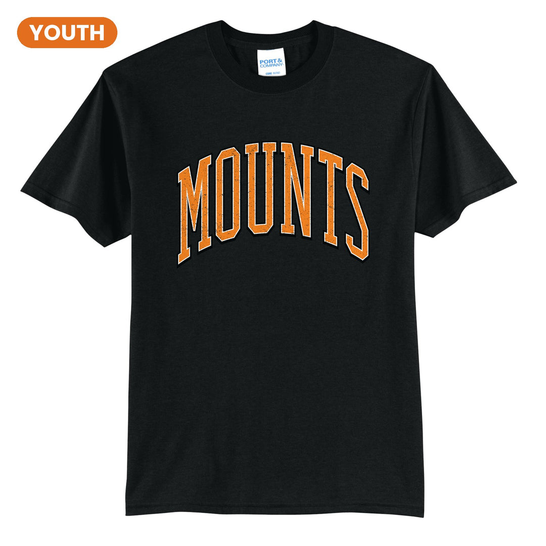 Antietam Mountaineers Varsity Arch youth t-shirt in Jet Black: arched, distressed varsity MOUNTS lettering