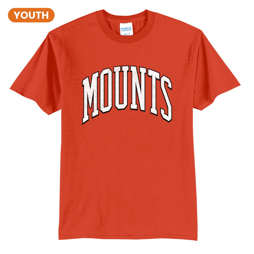 Antietam Mountaineers Varsity Arch youth t-shirt in Orange: arched, distressed varsity MOUNTS lettering