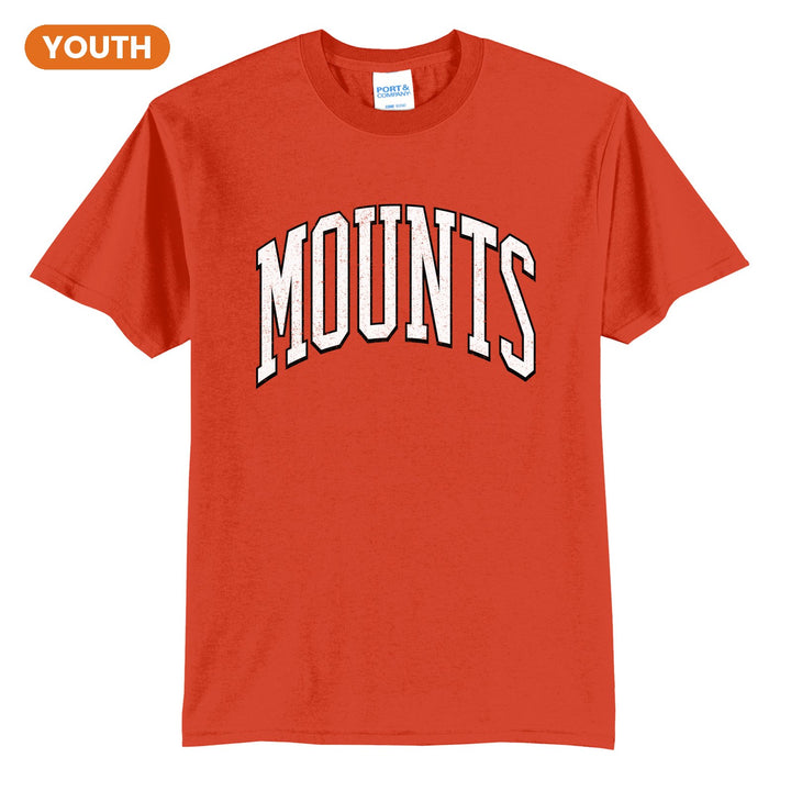 Antietam Mountaineers Varsity Arch youth t-shirt in Orange: arched, distressed varsity MOUNTS lettering