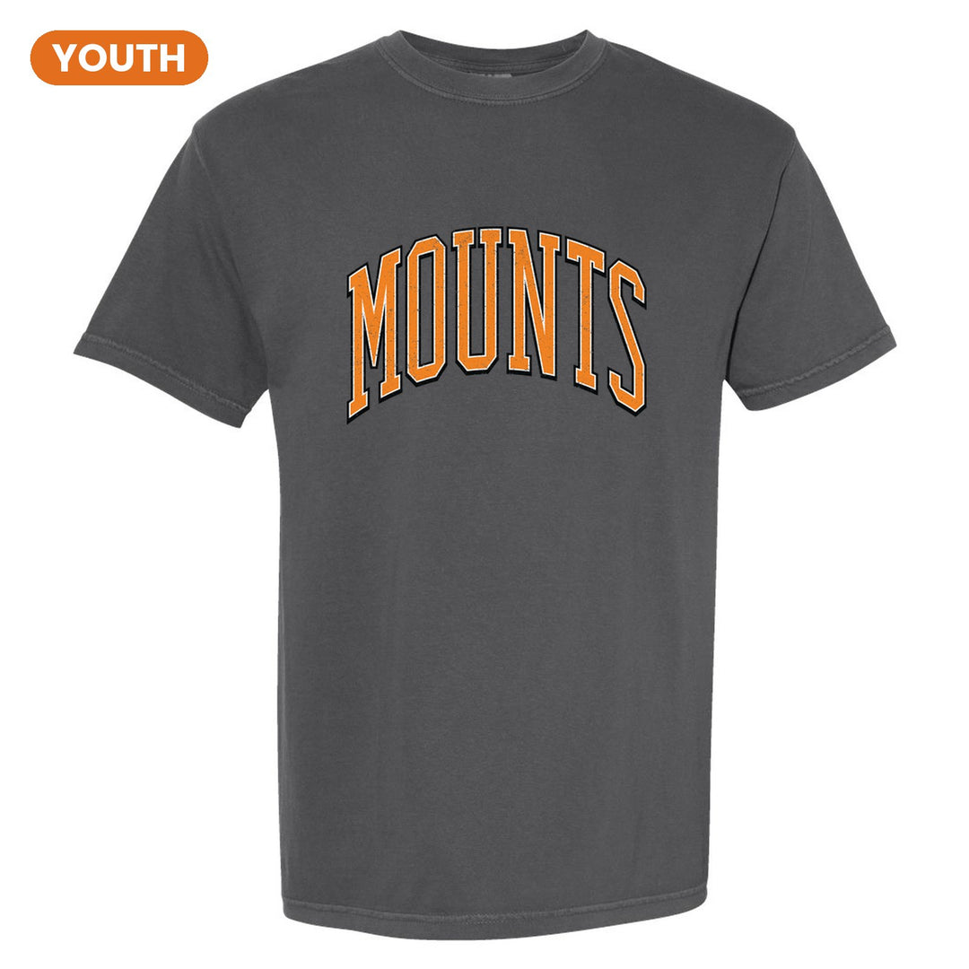 Antietam Mountaineers Varsity Arch youth comfort colors t-shirt in Pepper: arched, distressed varsity MOUNTS lettering