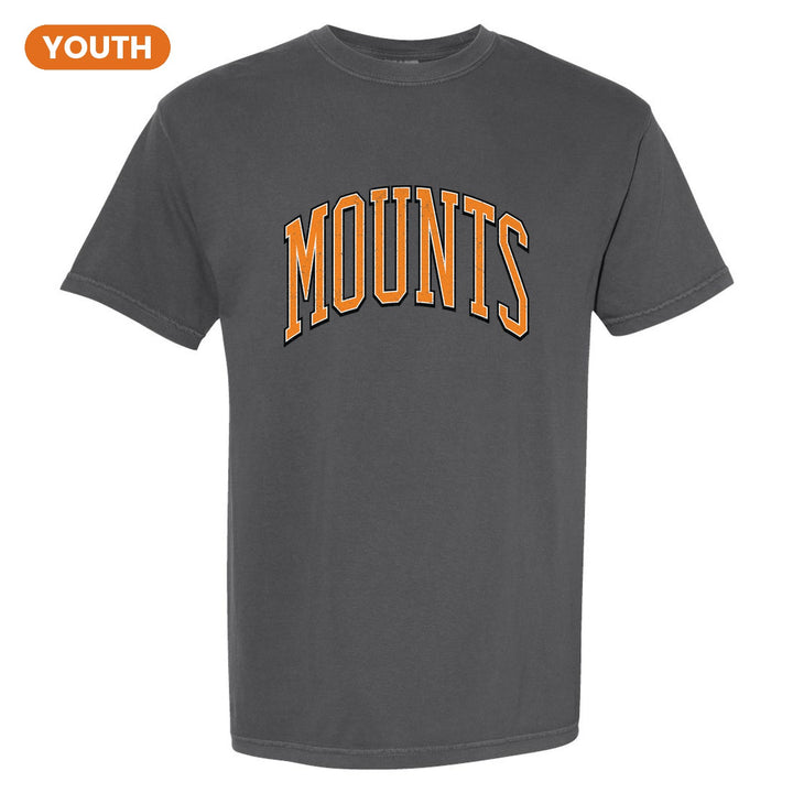Antietam Mountaineers Varsity Arch youth comfort colors t-shirt in Pepper: arched, distressed varsity MOUNTS lettering