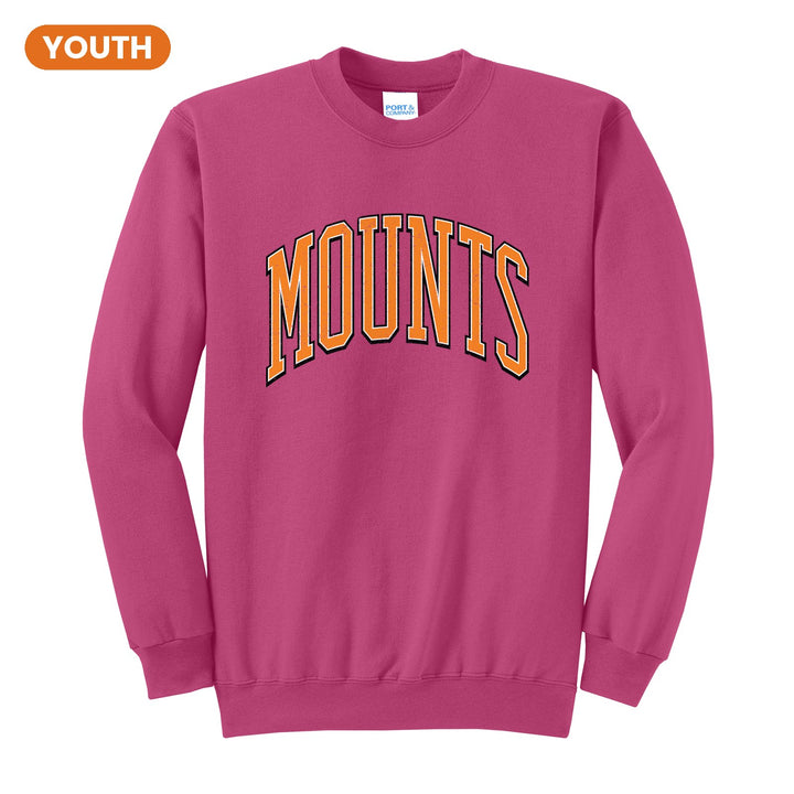 Antietam Mountaineers Varsity Arch youth crewneck sweatshirt in Sangria: arched, distressed varsity MOUNTS lettering