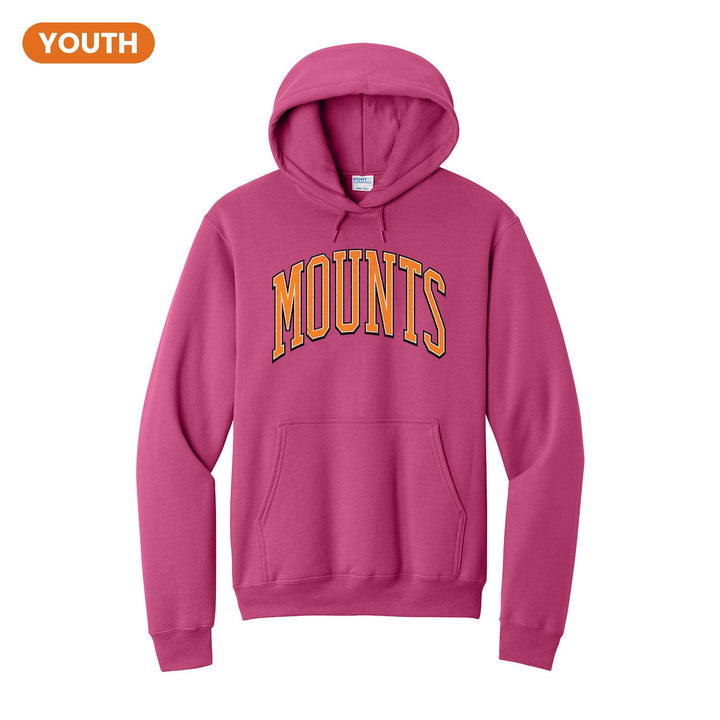 Antietam Mountaineers Varsity Arch youth hoodie in Sangria: arched, distressed varsity MOUNTS lettering