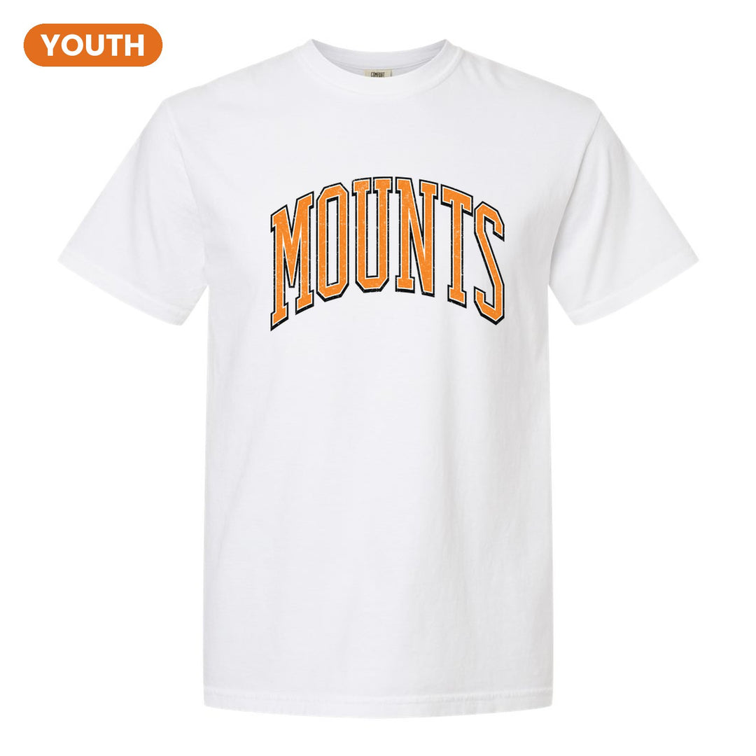 Antietam Mountaineers Varsity Arch youth comfort colors t-shirt in White: arched, distressed varsity MOUNTS lettering
