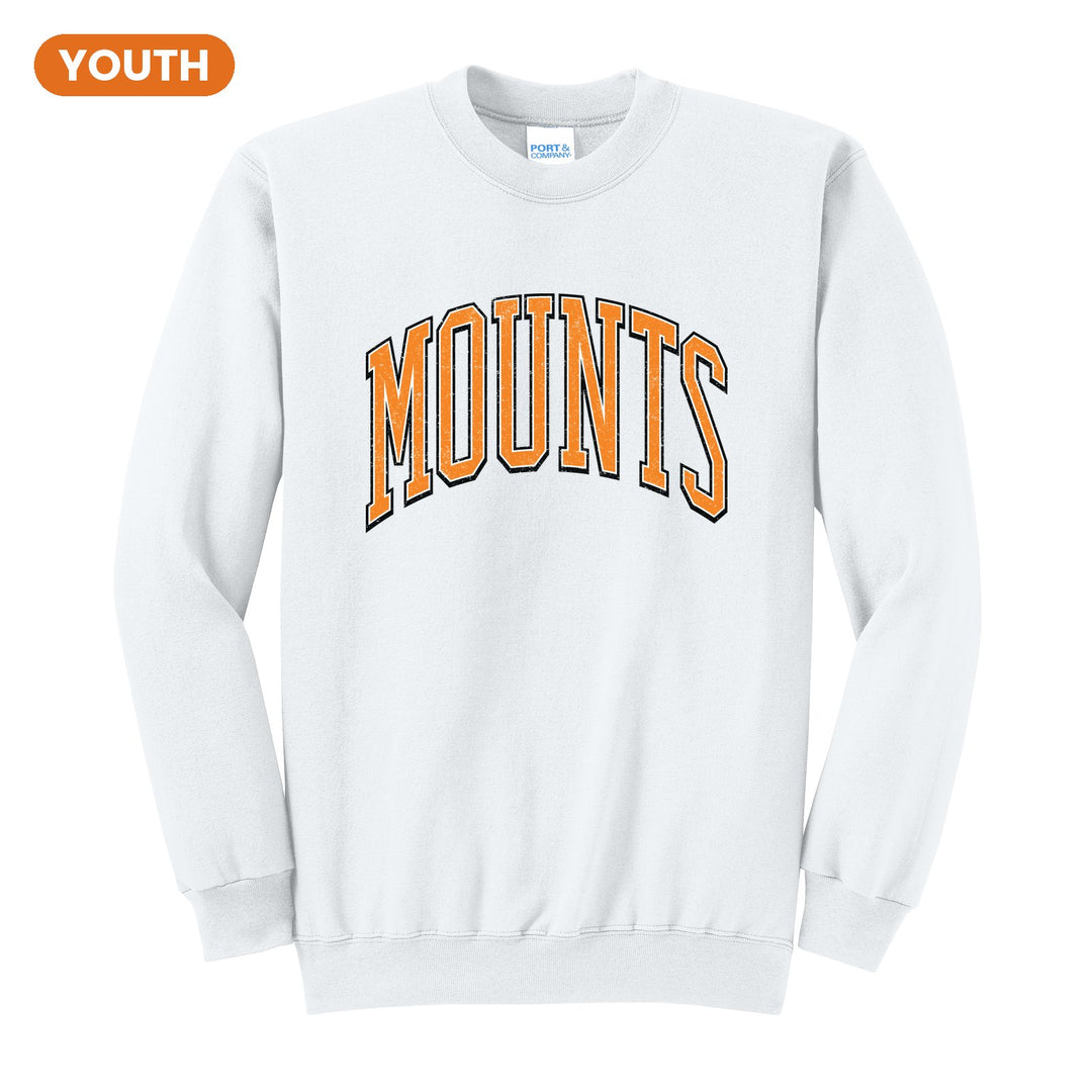 Antietam Mountaineers Varsity Arch youth crewneck sweatshirt in White: arched, distressed varsity MOUNTS lettering