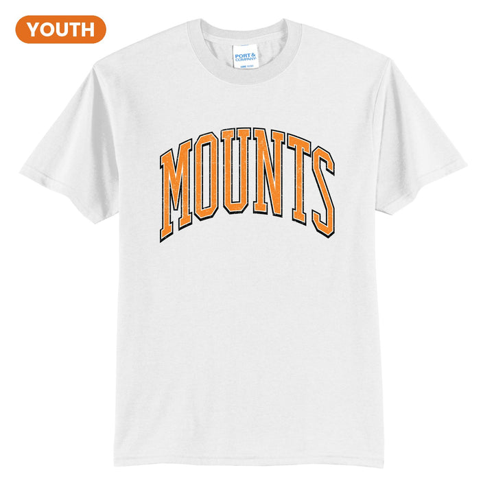 Antietam Mountaineers Varsity Arch youth t-shirt in White: arched, distressed varsity MOUNTS lettering