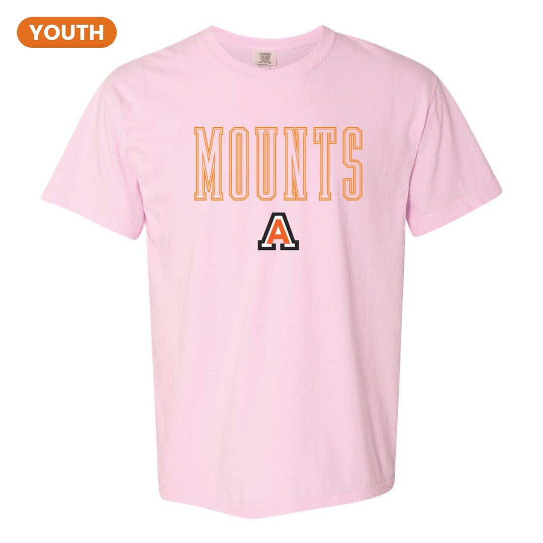 Antietam Mountaineers Outline Mounts youth comfort colors t-shirt in Blossom: outlined MOUNTS lettering over the Antietam A