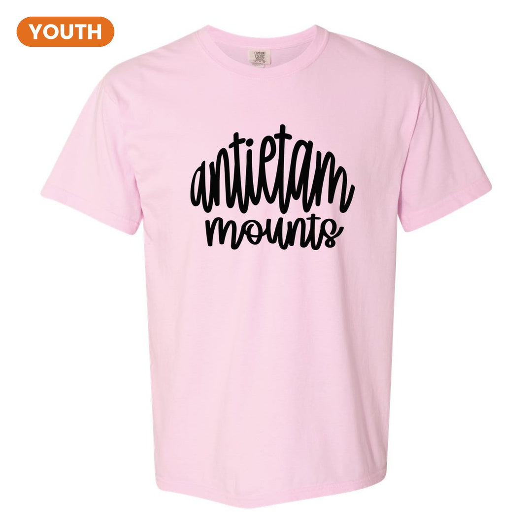 Antietam Mountaineers Hand-Lettered Script youth comfort colors t-shirt in Blossom: antietam mounts in big hand-lettered script