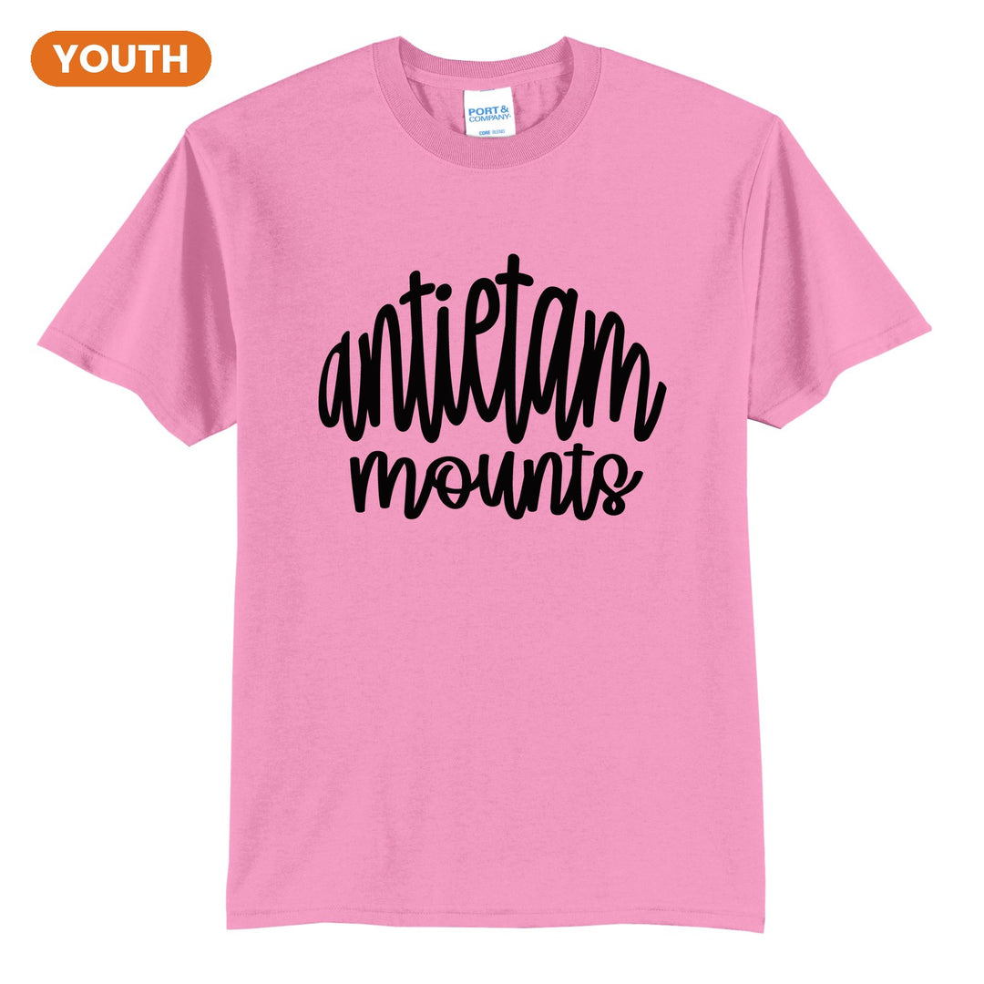 Antietam Mountaineers Hand-Lettered Script youth t-shirt in Candy Pink: antietam mounts in big hand-lettered script