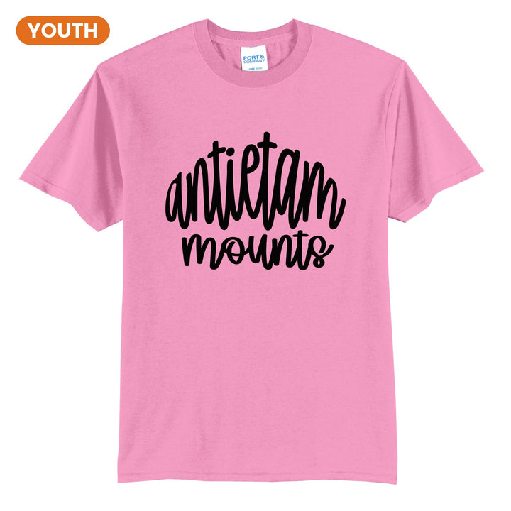 Antietam Mountaineers Hand-Lettered Script youth t-shirt in Candy Pink: antietam mounts in big hand-lettered script