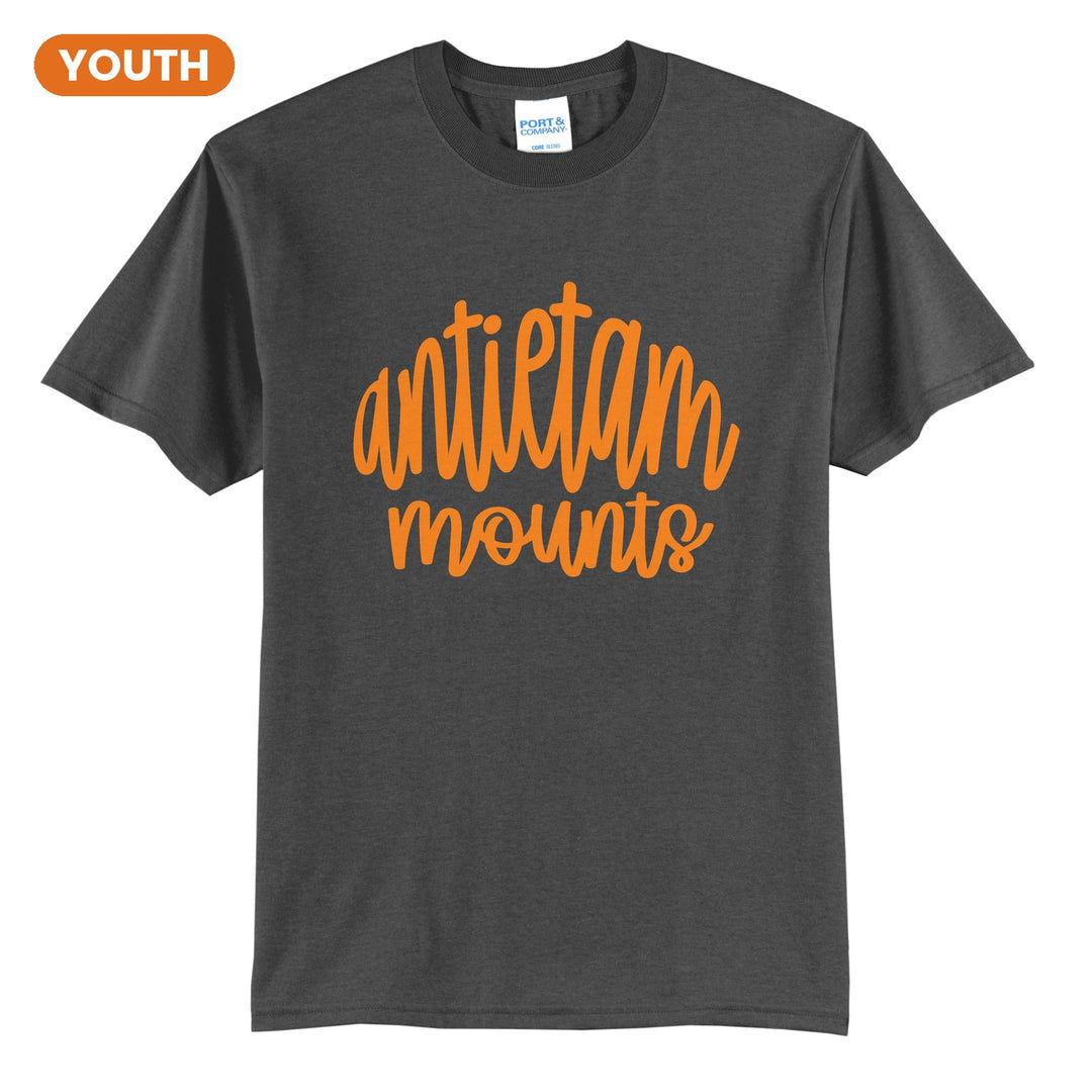 Antietam Mountaineers Hand-Lettered Script youth t-shirt in Charcoal: antietam mounts in big hand-lettered script