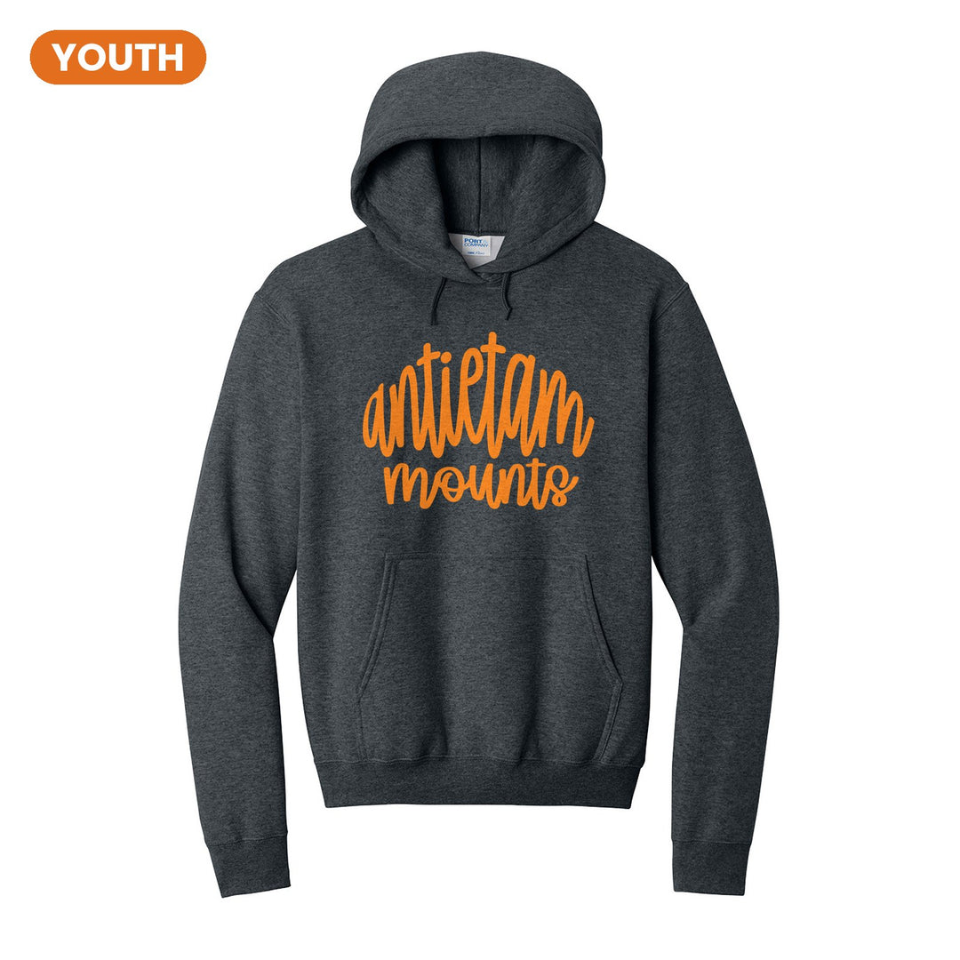 Antietam Mountaineers Hand-Lettered Script youth hoodie in Dark Heather Grey: antietam mounts in big hand-lettered script