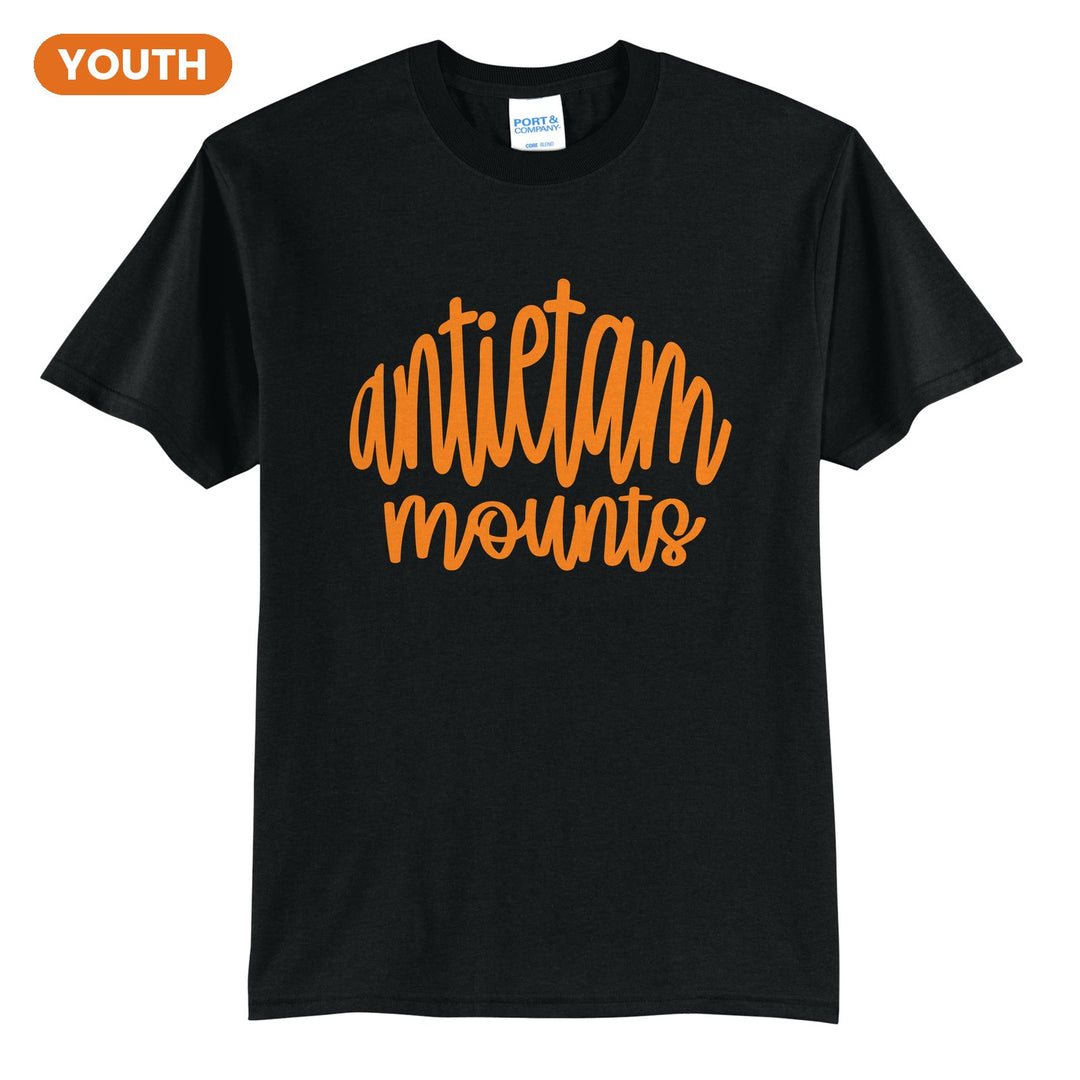 Antietam Mountaineers Hand-Lettered Script youth t-shirt in Jet Black: antietam mounts in big hand-lettered script