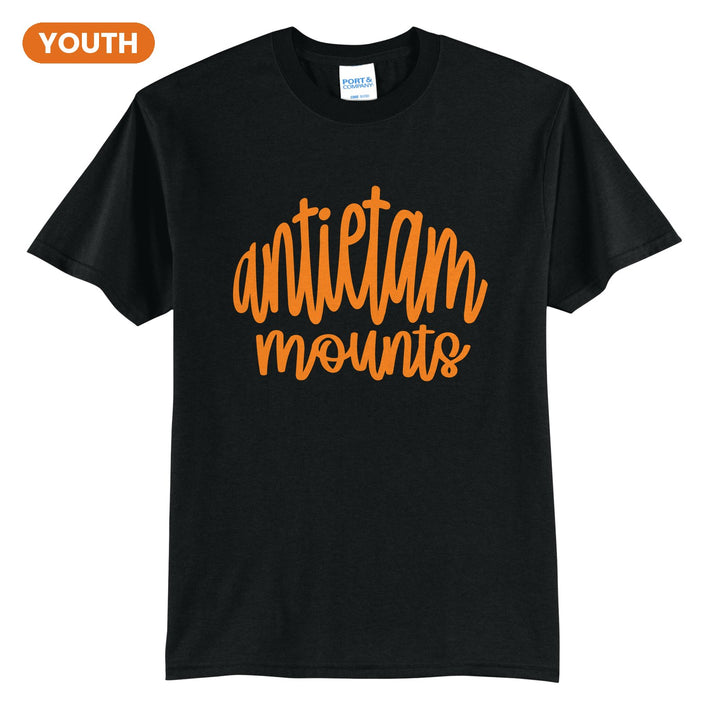 Antietam Mountaineers Hand-Lettered Script youth t-shirt in Jet Black: antietam mounts in big hand-lettered script