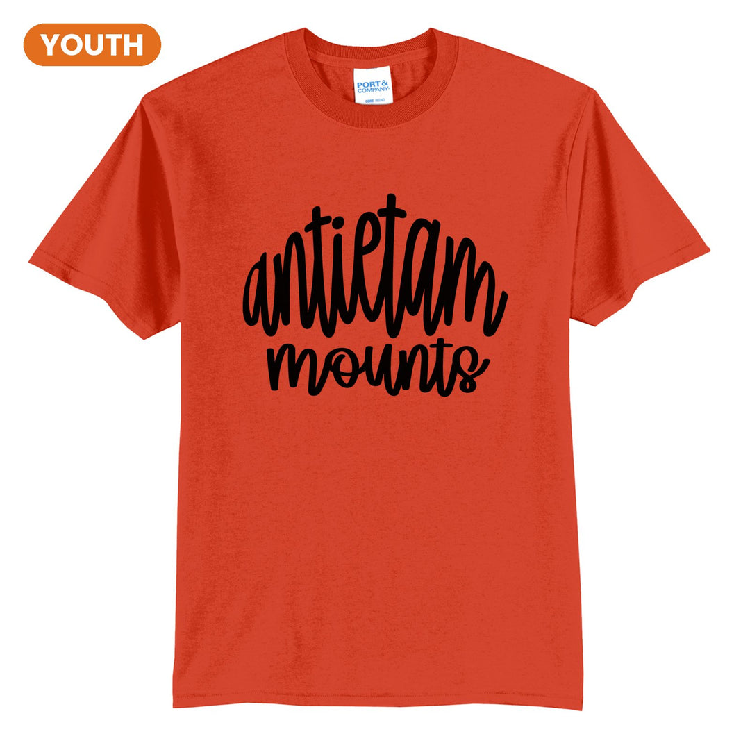 Antietam Mountaineers Hand-Lettered Script youth t-shirt in Orange: antietam mounts in big hand-lettered script