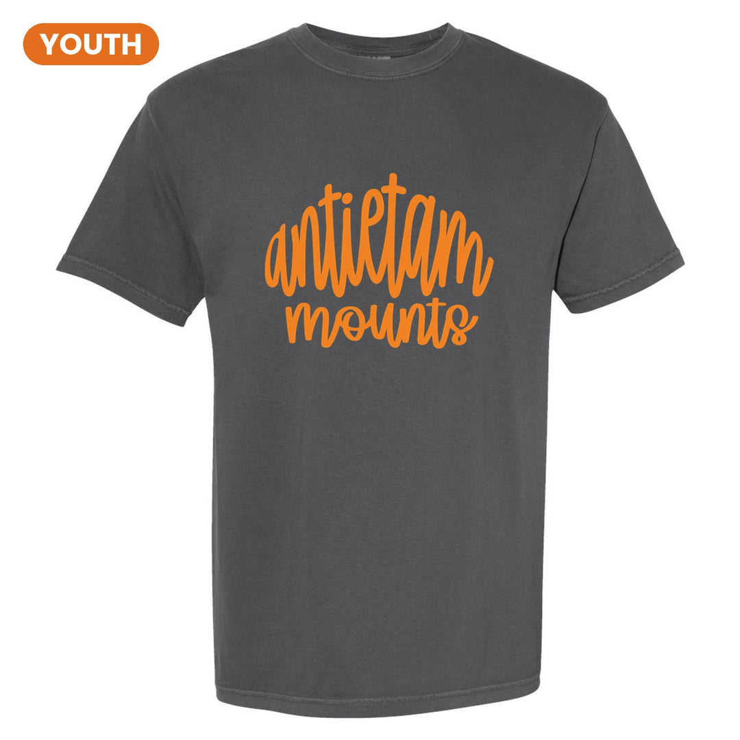 Antietam Mountaineers Hand-Lettered Script youth comfort colors t-shirt in Pepper: antietam mounts in big hand-lettered script