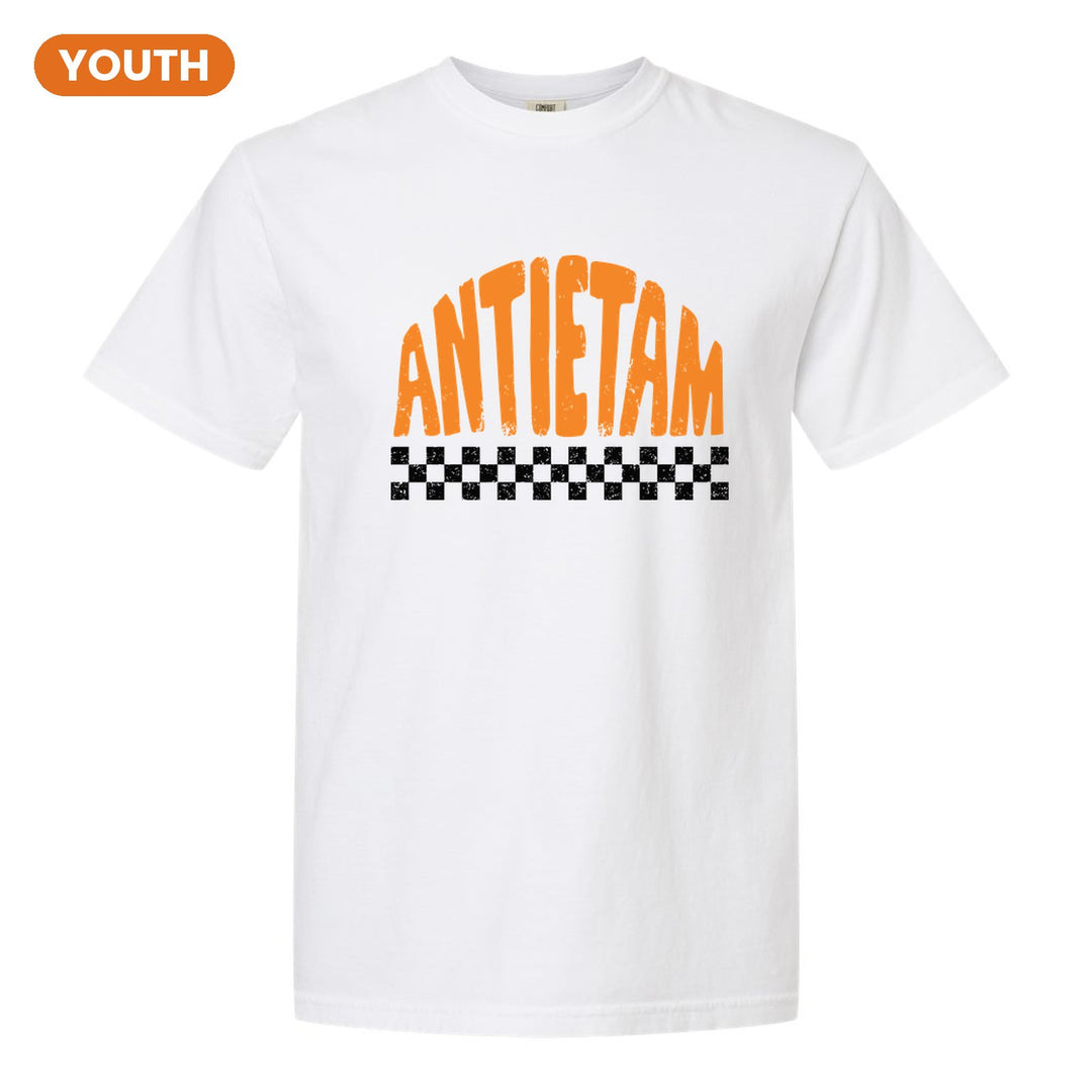 Antietam Mountaineers Checkered youth comfort colors t-shirt in White: distressed ANTIETAM lettering over a checkerboard band