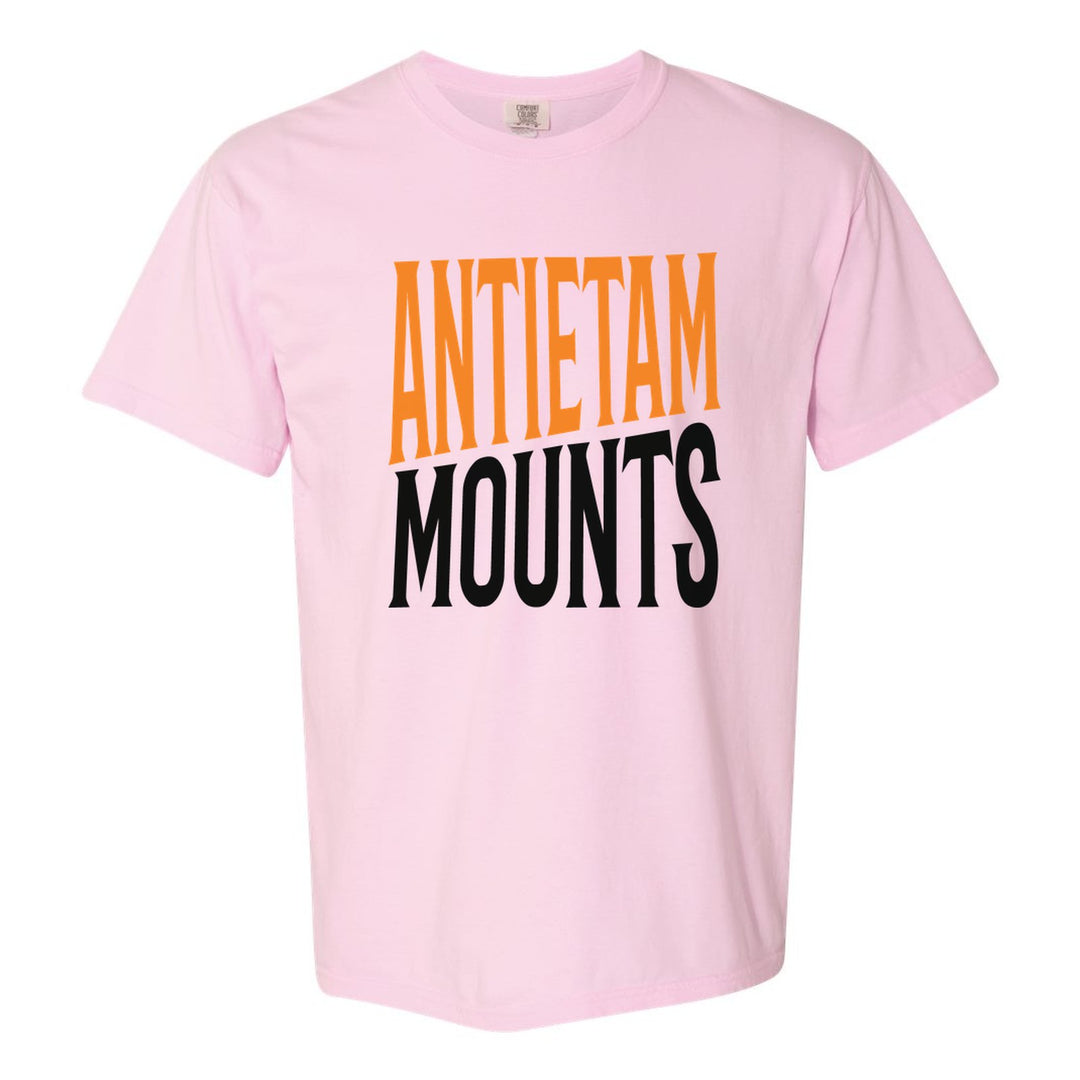 Antietam Mountaineers Block Stack comfort colors t-shirt in Blossom: tall ANTIETAM stacked over MOUNTS in condensed block letters