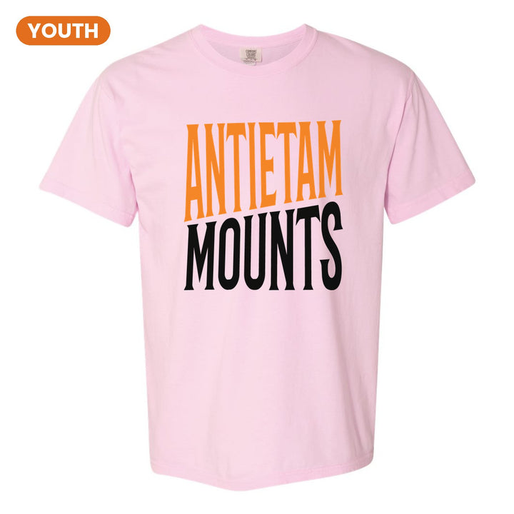 Antietam Mountaineers Block Stack youth comfort colors t-shirt in Blossom: tall ANTIETAM stacked over MOUNTS in condensed block letters